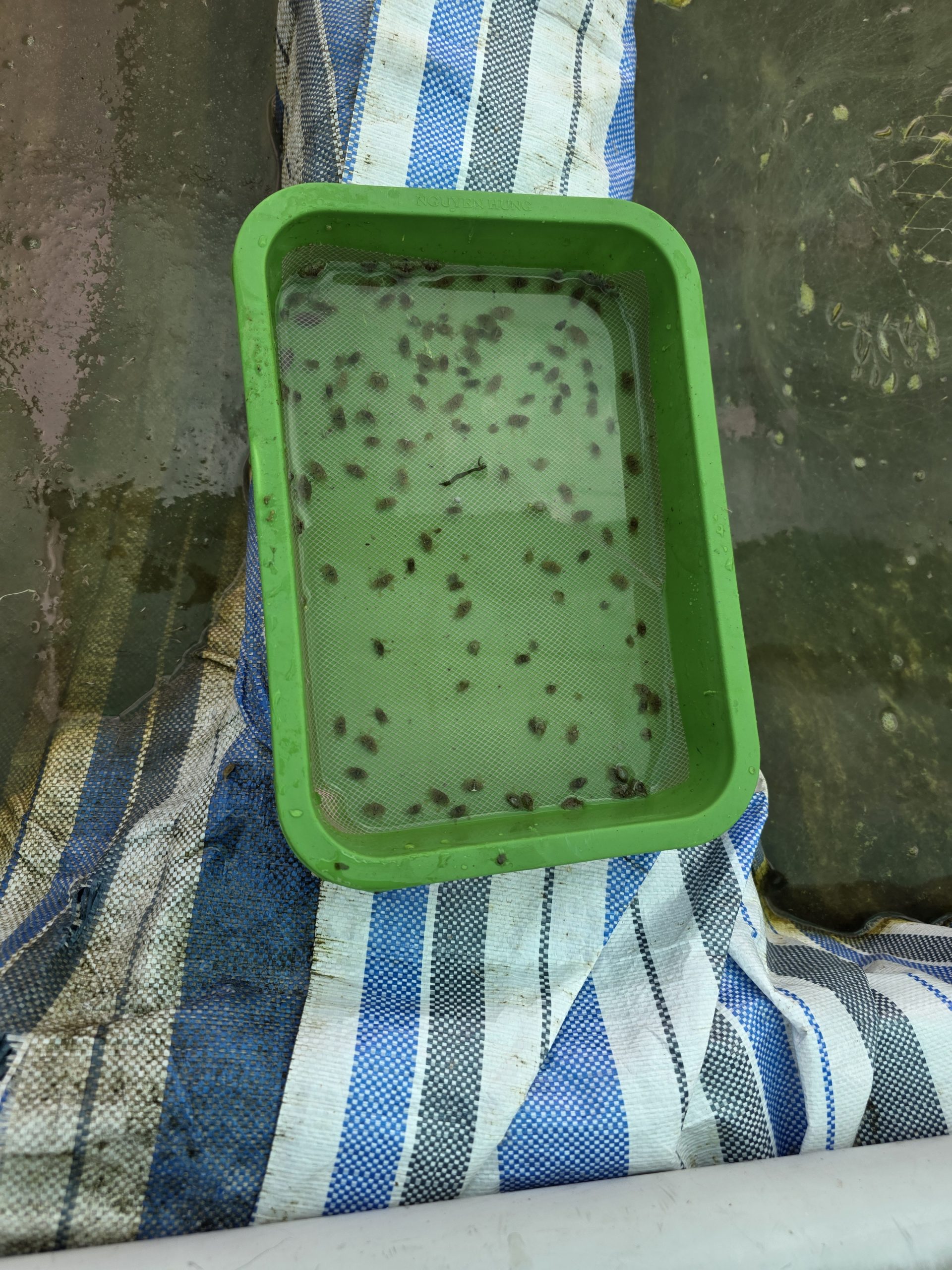 20251118 151337 Scaled 1