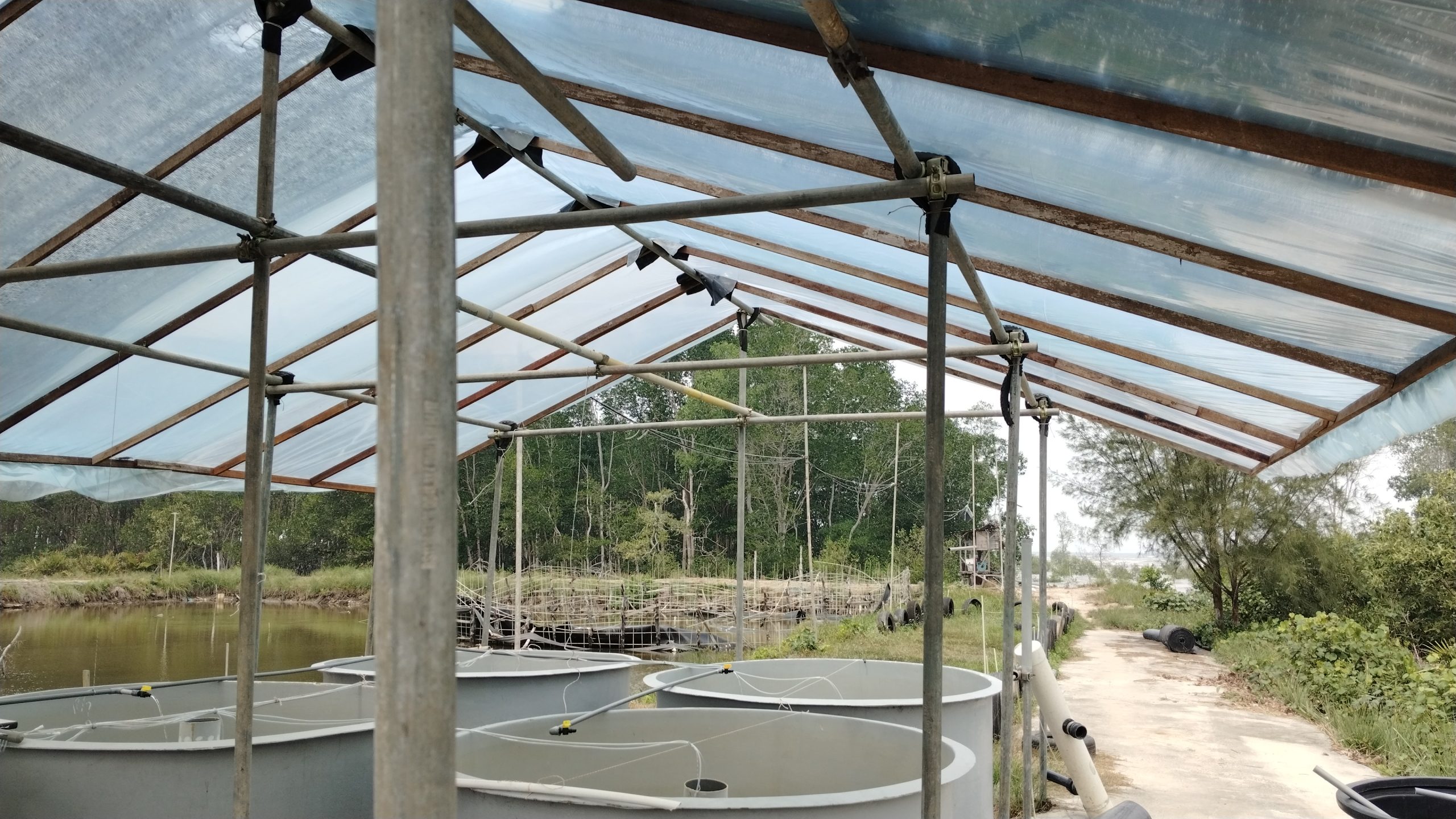 IMG 20250720 WA0006 1 Scaled 1