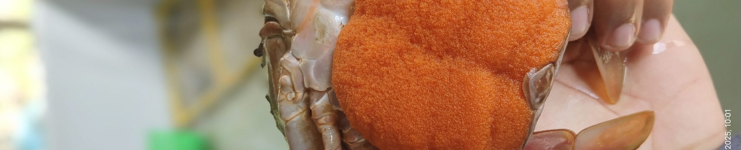 The Art of Drawing Readers In: Your attractive post title goes here IMG 20250421 100115 Edited 1 Scaled 1