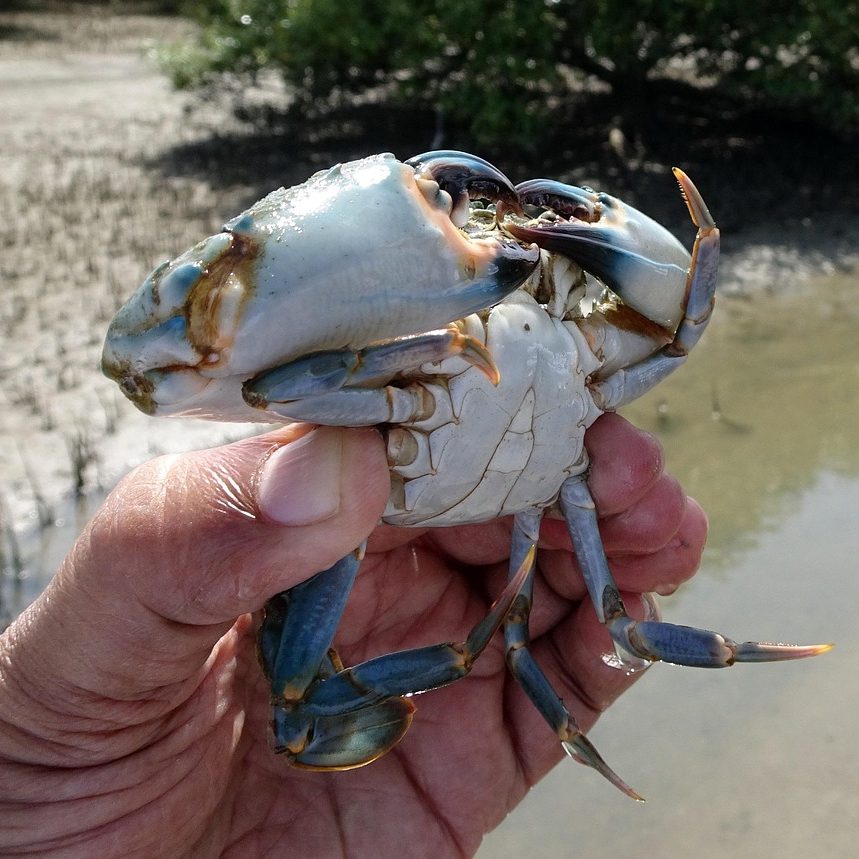 Gc2a4f19a25a841d70a22029fabb2c3ed6dc8e88e8e0efec37f98a83dd3b5495a7e7eb9dd6d4abd8b3ed69e06059a662904b95e41677b794c48557eaf75f482f8 1280 2833653 Edited